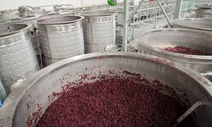 Red wine grapes fermenting in stainless steel open fermenters in a modern winery in Australia